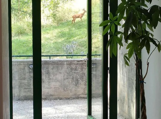 Apartment Center, Sauna, View - Haus Linaria Leukerbad